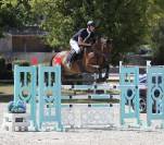 Yegua Silla Francés En venta 2015 Bayo por MONTENDER 2
