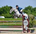 Jument de sport pour CSO et CCE