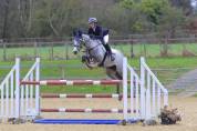 Jument de sport pour CSO et CCE