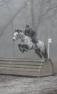 Jument de sport pour CSO et CCE