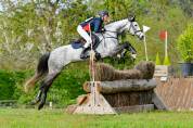 Jument de sport pour CSO et CCE