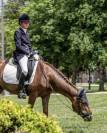 Ponette FEI CCI 16ans