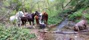 Estive confortable en Montagne Noire