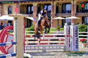 cavalla belga 10 anni 