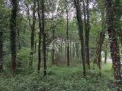 Maison sur 39ha avec étang en forêt de la Double