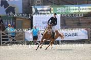 Jackpot de Landat Top cheval CSO/Hunter