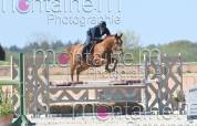 Jackpot de Landat Top cheval CSO/Hunter