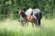 3ans par Totillas