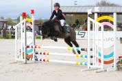 Diana Ross - Welsh A - 6 ans - IPO 126 - 120cm
