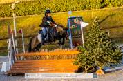 Diana Ross - Welsh A - 6 ans - IPO 126 - 120cm