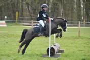Diana Ross - Welsh A - 6 ans - IPO 126 - 120cm