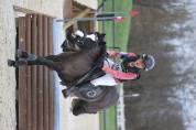 Diana Ross - Welsh A - 6 ans - IPO 126 - 120cm