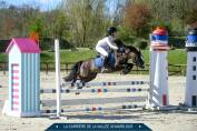 Diana Ross - Welsh A - 6 ans - IPO 126 - 120cm