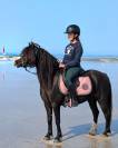 Diana Ross - Welsh A - 6 ans - IPO 126 - 120cm