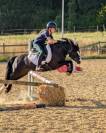 Diana Ross - Welsh A - 6 ans - IPO 126 - 120cm