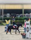Diana Ross - Welsh A - 6 ans - IPO 126 - 120cm