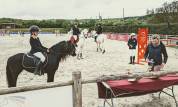 Diana Ross - Welsh A - 6 ans - IPO 126 - 120cm