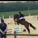 Etalon New Forest 