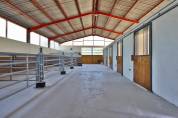 Haras d'élevage d'exception de 39ha