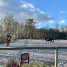 Écurie Novum - Écurie de propriétaire/ Poney Club 