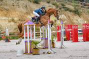 Écurie Novum - Écurie de propriétaire/ Poney Club 