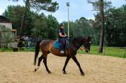 Kansas – Superbe hongre Oldenbourg de 9 ans