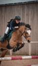 Ponette de sport 7 ans taille C welsh part bred