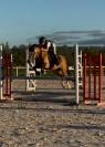 Ponette de sport 7 ans taille C welsh part bred