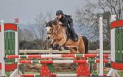 Ponette de sport 7 ans taille C welsh part bred