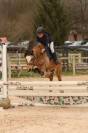 Ponette de sport 7 ans taille C welsh part bred