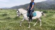 Pony dressage