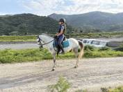 Pony dressage