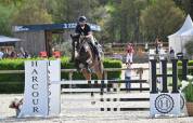 Hongre 10 ans Classé CSI 130 