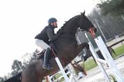 Hongre 10 ans Classé CSI 130 