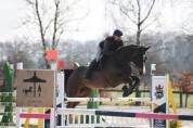 Hongre 10 ans Classé CSI 130 