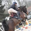 Hongre 10 ans Classé CSI 130 