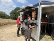 Vente Böckmann Traveller G3 de 06/2022