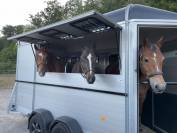 Vente Böckmann Traveller G3 de 06/2022