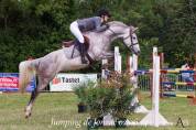 Merrie Bekend ras Te koop 2016 Schimmel
