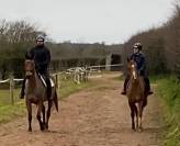 pension pré/box pour chevaux et gîtes équestre