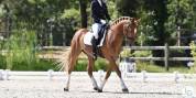 Poney GP Dressage 