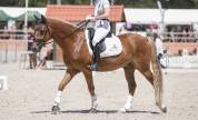 Poney GP Dressage 