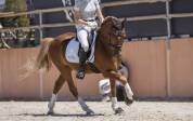 Poney GP Dressage 
