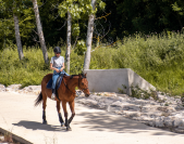 Pur-sang - 14 ans - petit loisir et balade