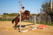 Pur-sang - 14 ans - petit loisir et balade
