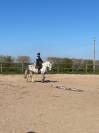 Petit cheval 9 ans 