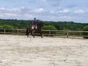 Pure race espagnole 