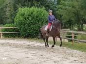 Pure race espagnole 