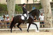 JANGO NP - PRE Puur Ras Spaans 2019 ,  INTIMO SALVATELLA
