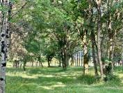 Parc naturel de la Brenne